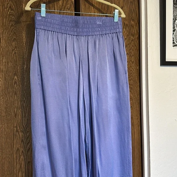 Everlane pebbled silky pants - Picture 2 of 6